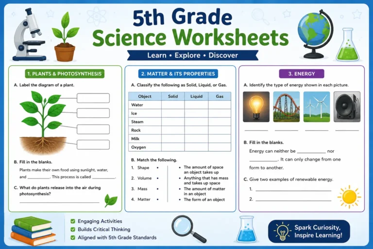 5th grade science worksheets